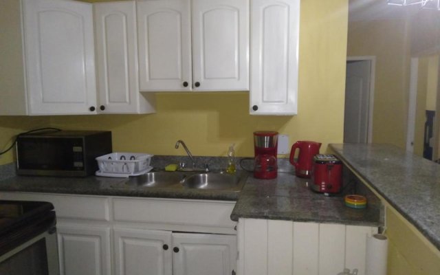 Cozy Deluxe 2BR Condo New Kingston