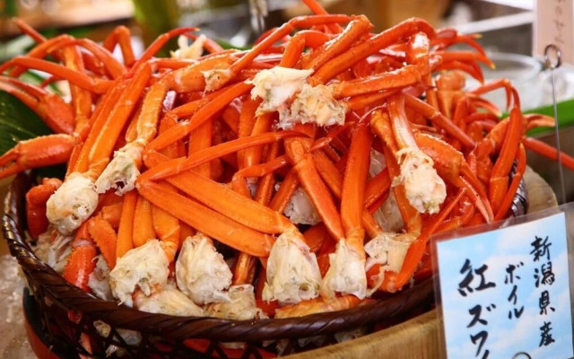 Guest House FUJI-HAKONE LAND - Hostel