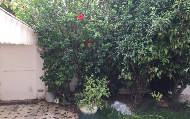 Maison Avec Jardin Garage