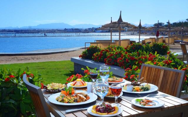 Beach Albatros Resort - All Inclusive