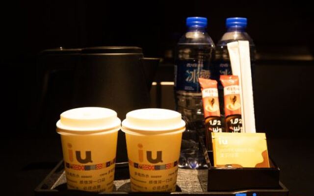 IU Hotel (Chongqing Nanchuan Mingrun Wanda Plaza)