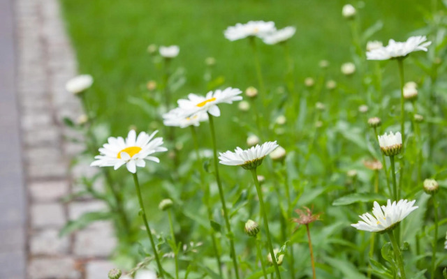 Stadthaus Jürgensby