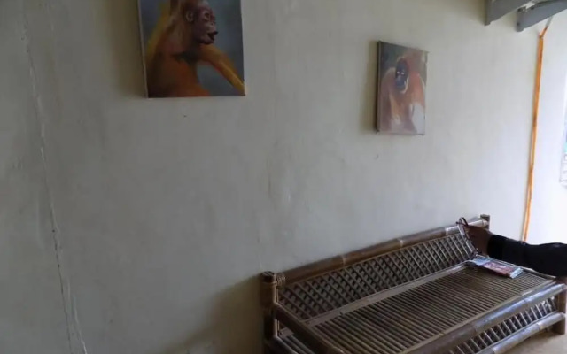 Amelia Guest House