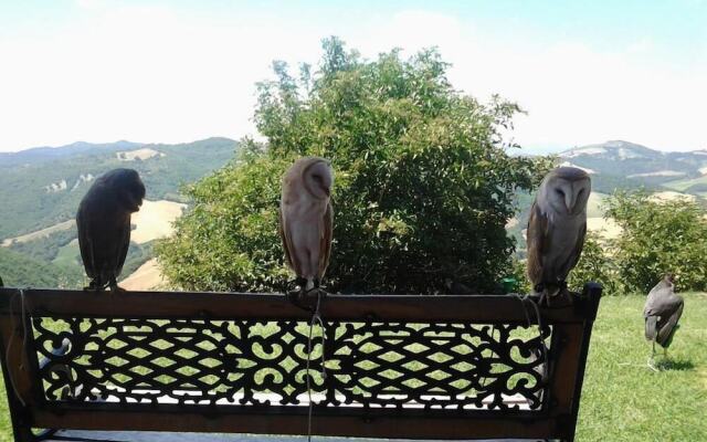 Girfalco - Country House - Bed&Breakfast
