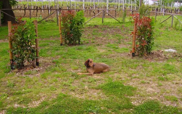 La Valle Agriturismo