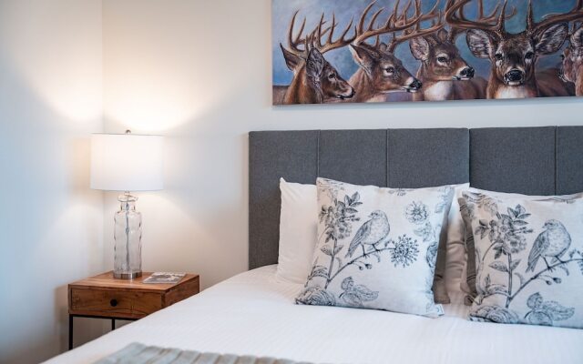 Revylation by Revelstoke Vacations