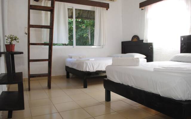 Lobo Inn - Hostel