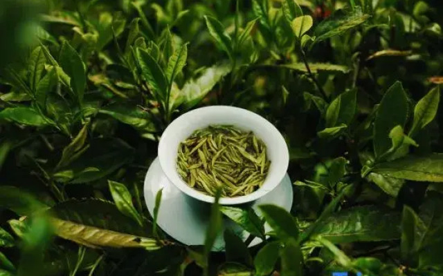 Wangwuyuan · Liusu Xiaozhu · Huangling Designer Homestay