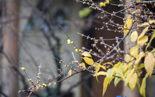 Yueshang Zen Space Homestay (Tongli Ancient Town Branch)