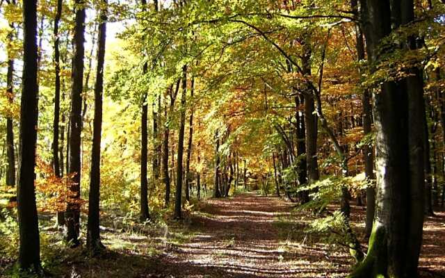 Landhotel Halbfas-Alterauge