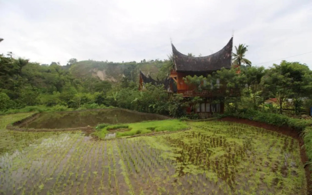 Padi Ecolodge