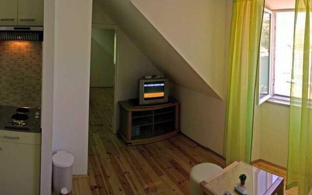 Apartment Miletic