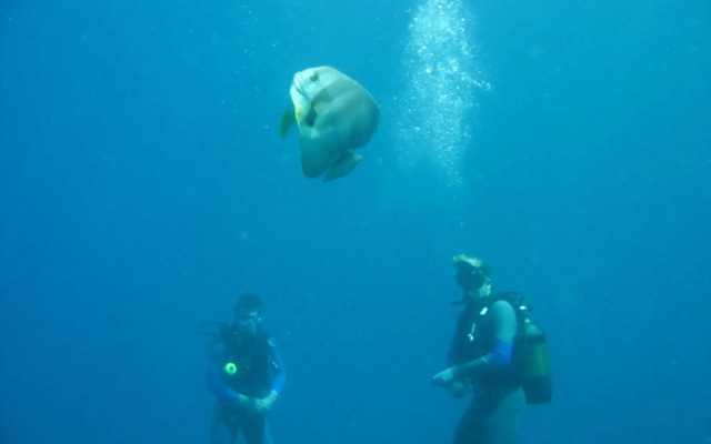 Dugong Beach Lodge