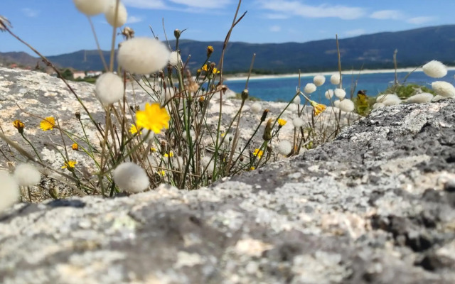 Casa Playa de Caldebarcos