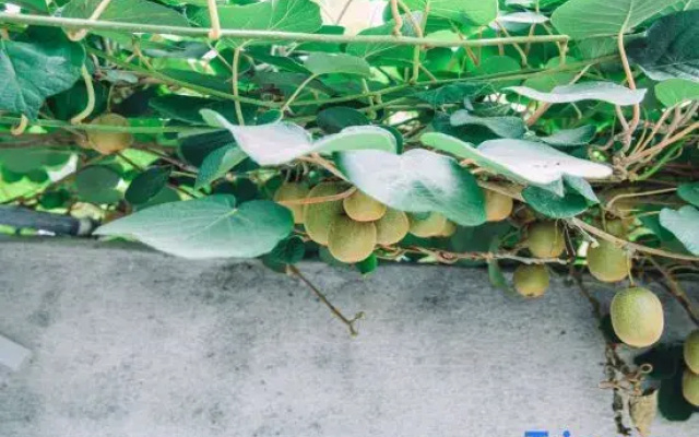 Tiantai Liyueju Homestay (Guoqing Scenic Area)