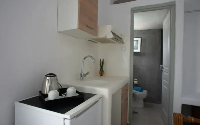 Petra Mykonos Studios & Suites