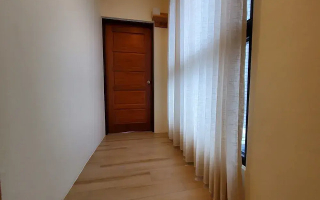 shanyue22