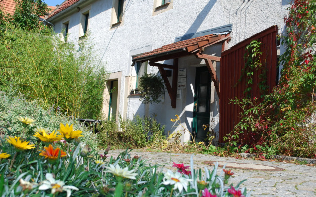 Grüne Idylle im Dresdener Süden