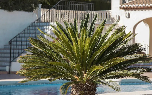 Abahana Villas La Maravilla