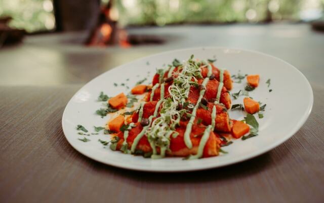 Equilibrium Healing Resort