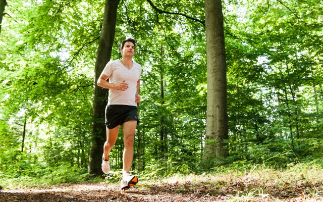 Hotel Birke, Ringhotel Kiel