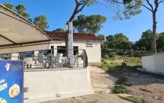 Mobile Homes Soline Seaside