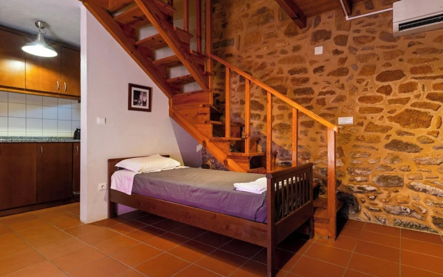 Raízes da Vinha - by Matias Nature