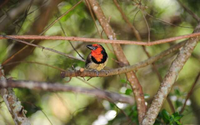Shamwari Sarili Lodge