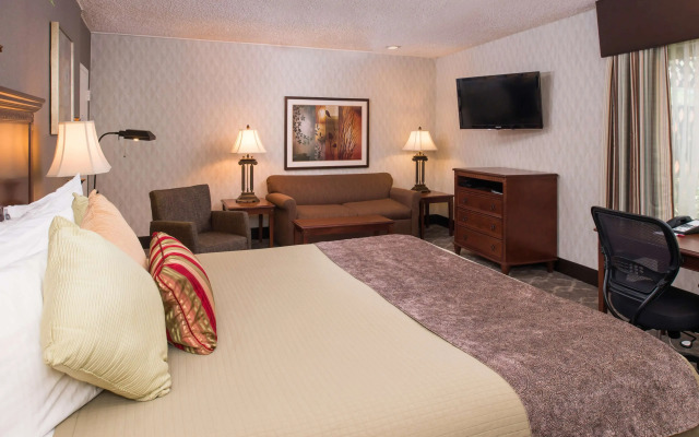 Best Western Plus Black Oak