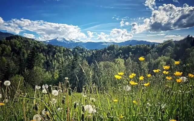 Wälderhof