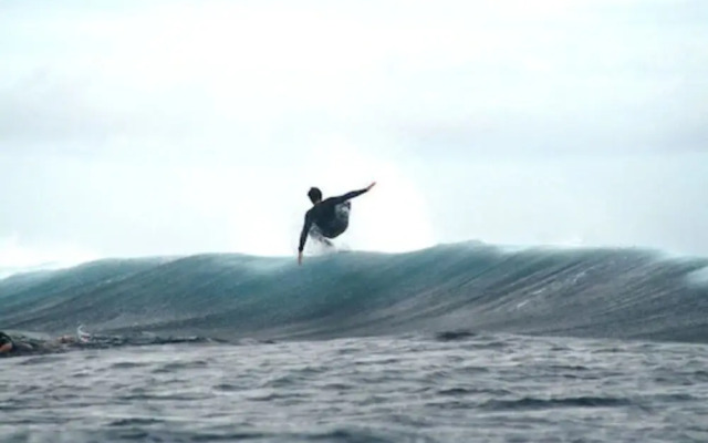 Funky Fish Beach & Surf Resort - Hostel