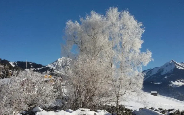 Chalet Ermina Bed & Breakfast
