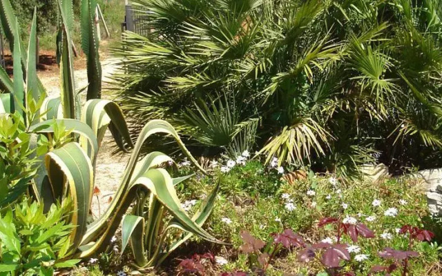 Villa a due passi dal mare