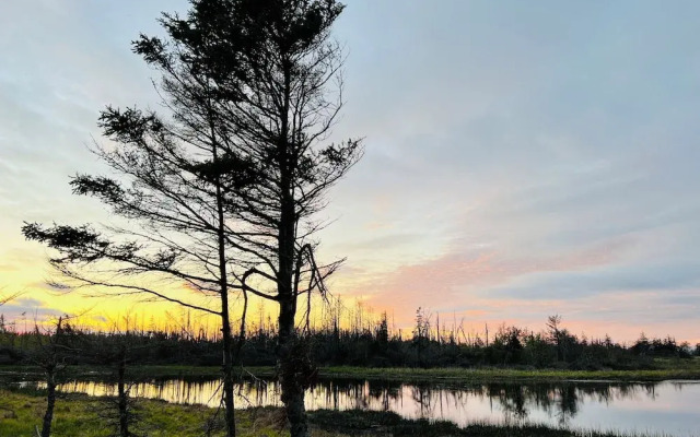 Skyline Terrace Cottages