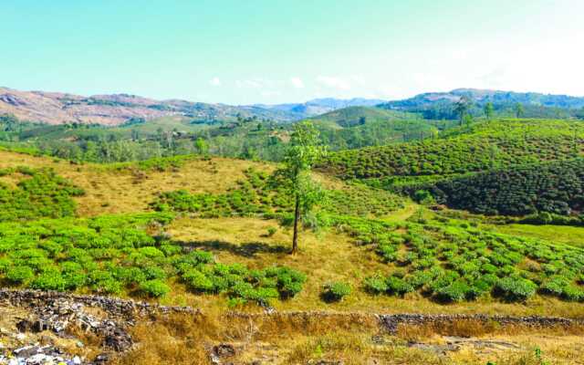 Sam Valley