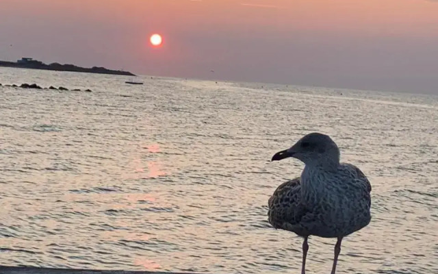 Strandbude 14