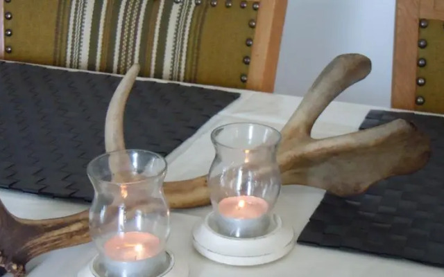 Wilderness Life in Arvidsjaur