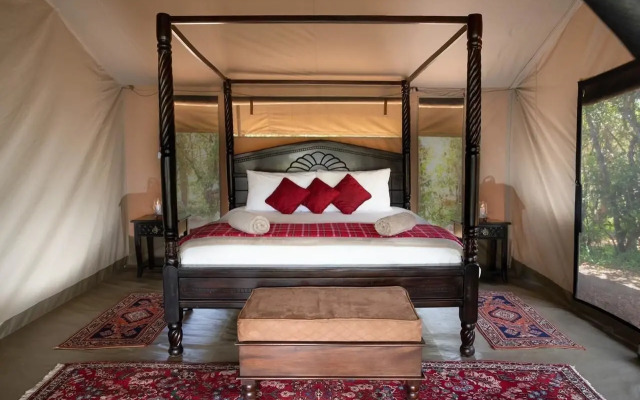 Hammerkop Migration Camp