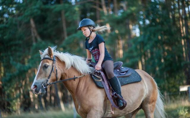 traumHaff Historischer Kahnschifferhof mit Kamin, liebevoll restauriert