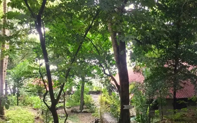 Villa Milagros Dive Inn Anilao