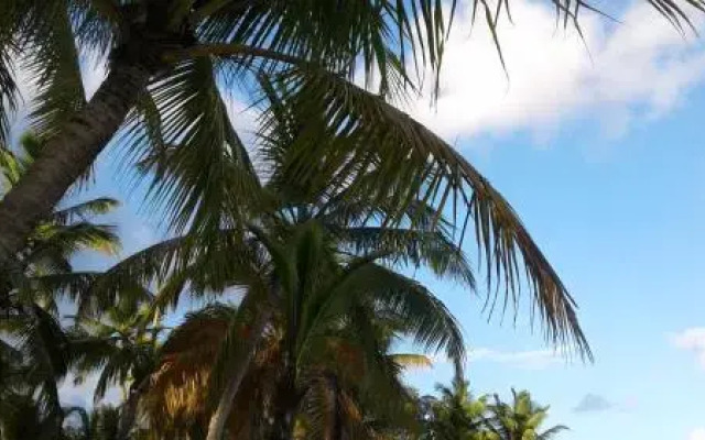 Résidence La Plantation