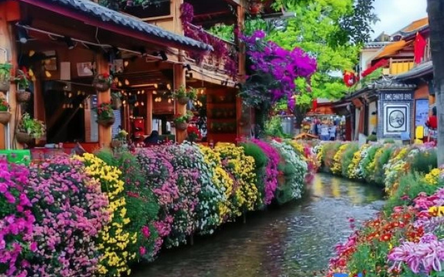 Wenyuange·Retro Floriculture New Concept Life Beauty