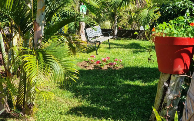 Le Palmier de la Paix