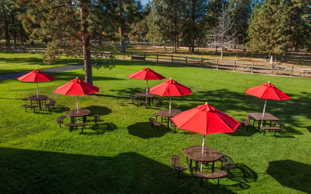 Best Western Ponderosa Lodge