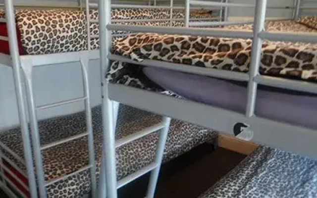 The Hangover Hotel - Hostel