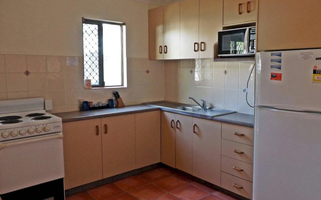 Driftwood On The Beach