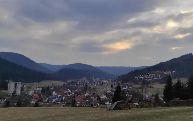 Ferienwohnung Vogelnest im Schwarzwald