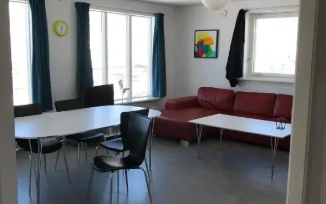 isi4u hostel, dogsled, snowmobiling