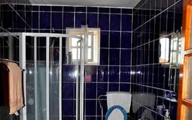 Pensiunea Iancu Salasu de Sus