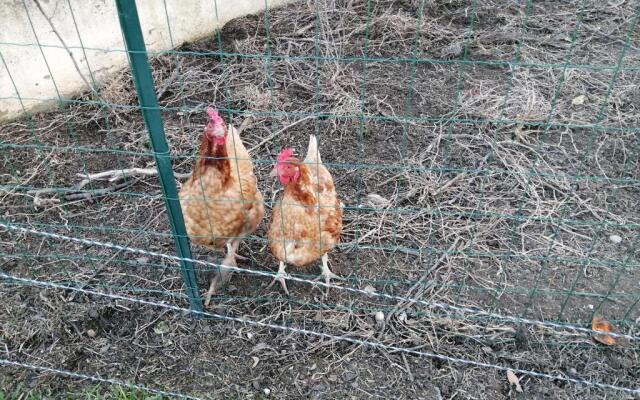 Studio et piscine au sel